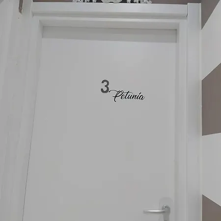 Le Dei Fiori Πανσιόν 4*