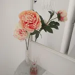 Le Dei Fiori בית הארחה