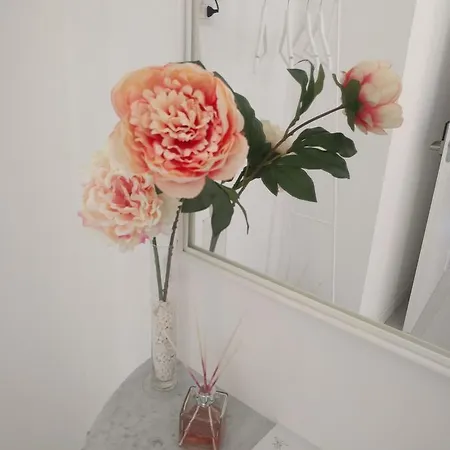 Le Dei Fiori בית הארחה