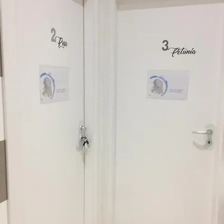 Le Dei Fiori