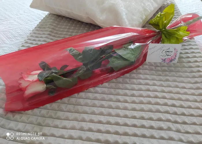 Гостевой дом Le Dei Fiori 4*